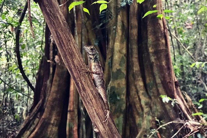 Wild Wonders Of Sri Lanka | 7 Days - Exceptional Customer Testimonials