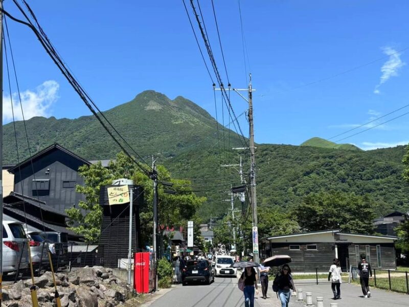 Wild Yufuin: A Day of Lakes, Zoos, and Wonders in Kyushu - Admission Fees for Kyushu Nature Zoo