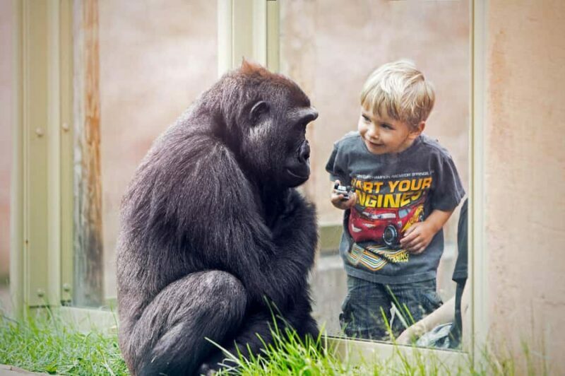 Wilder Institute/Calgary Zoo Entry Ticket - Key Points