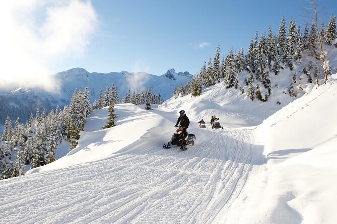 Wilderness Adventure Snowmobile Tour in Whistler - Key Points