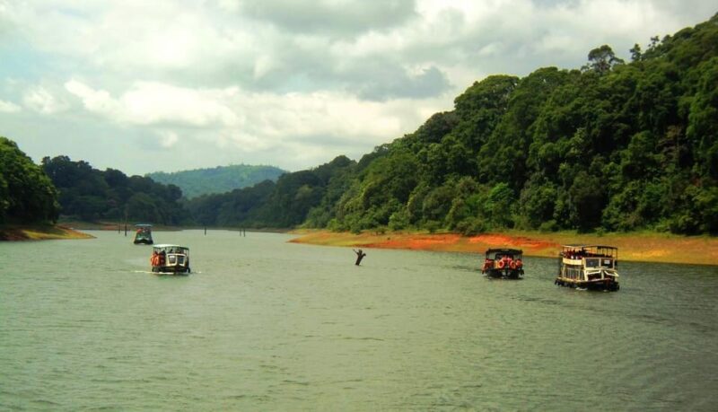 Wilderness & Culture: One Day Tour of Thekkady With Jeep !! - Itinerary Highlights