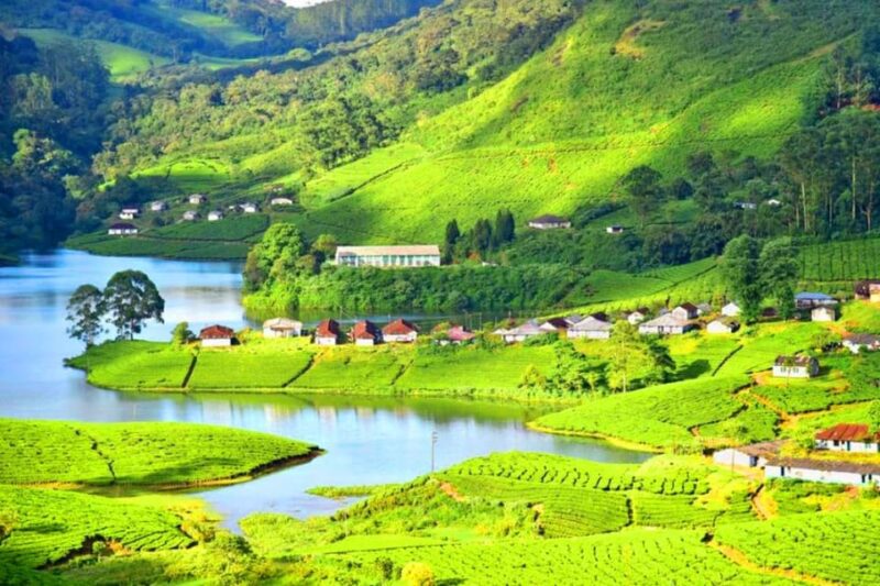 Wilderness & Culture: One Day Tour of Thekkady With Jeep !! - Jeep Safari