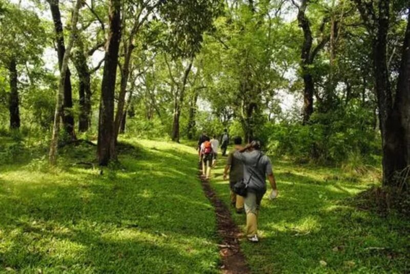 Wilderness & Culture: One Day Tour of Thekkady With Jeep !! - Periyar Lake Boat Ride
