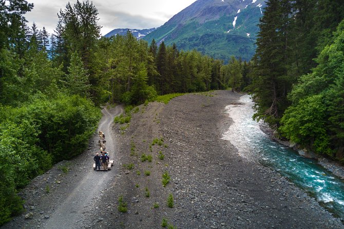 Wilderness Dog Sled Ride and Tour in Seward - Mushing and Race Training