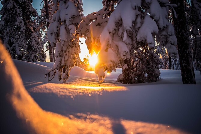 Wilderness Snowshoe Adventure - Booking Information