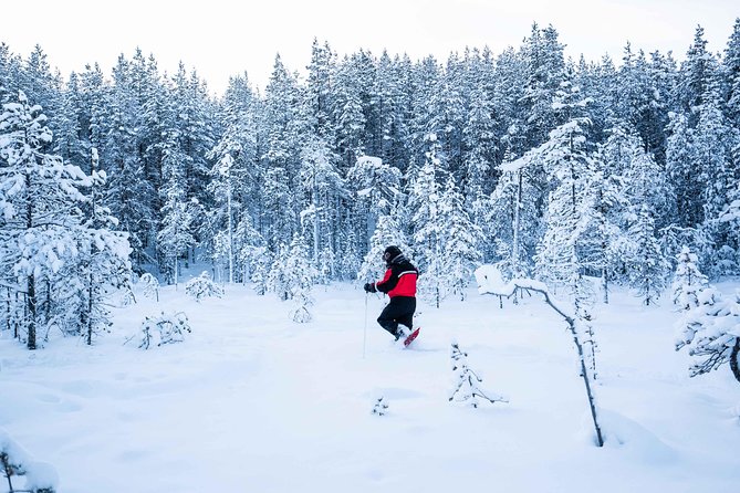 Wilderness Snowshoe Adventure - Customer Reviews and Ratings