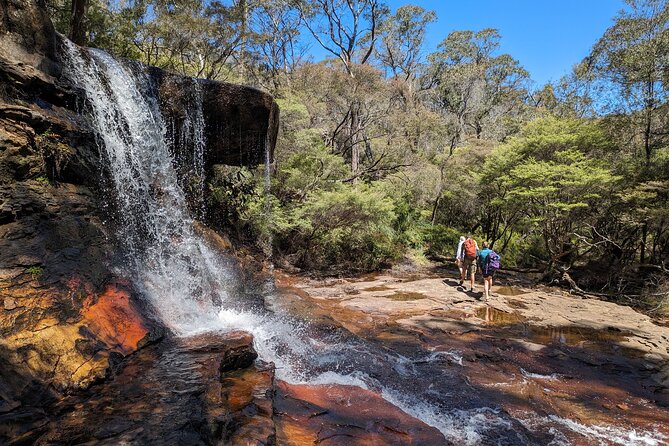 Wilderness, Waterfalls, Three Sisters BLUE MOUNTAINS PRIVATE TOUR - Encounter Native Australian Animals
