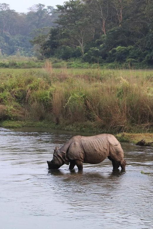 Wilderness Wonders: Private 3-Day Chitwan Safari Tour - Important Considerations