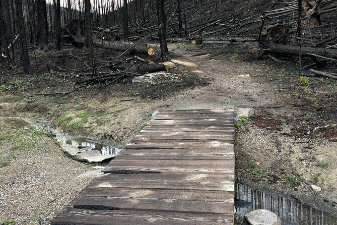Wildfire Peak Nic - Real Experiences from Past Participants