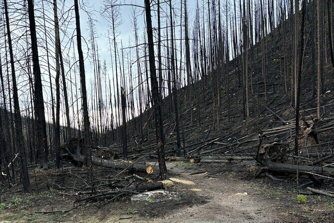Wildfire Peak Nic - FAQ