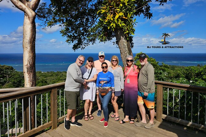 Wildlife Adventure & Beach - Tranquil Beach Relaxation