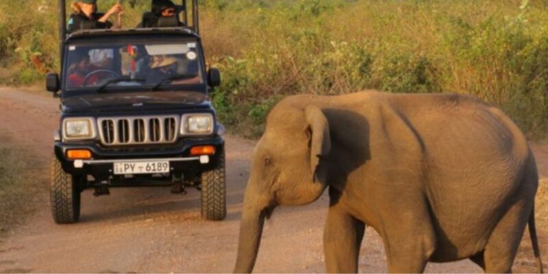 Wildlife and Beach Adventure: 5-Day Special - Included Attractions and Activities