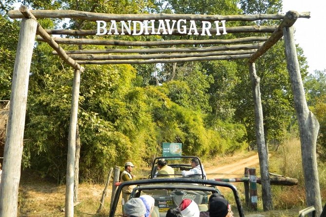 Wildlife and Cultural India Tour - Itinerary Highlights