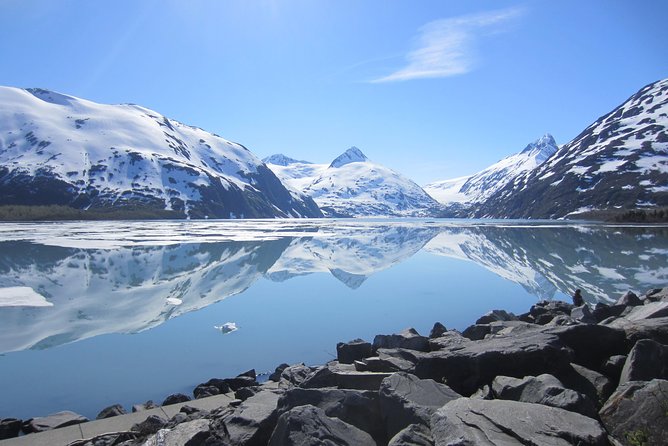 Wildlife and Glaciers With a Walk in the Rainforest - Experiencing Wildlife and Glaciers