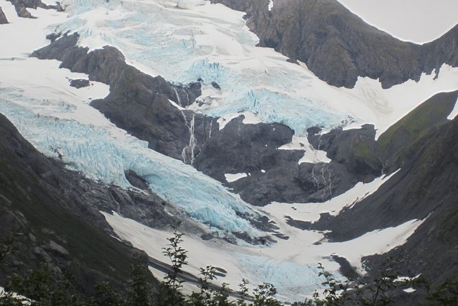 Wildlife and Glaciers With a Walk in the Rainforest - Exploring Anchorages Surroundings