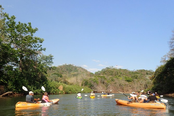 Wildlife and Mangrove Kayaking Tour Río Ora - Tour Overview