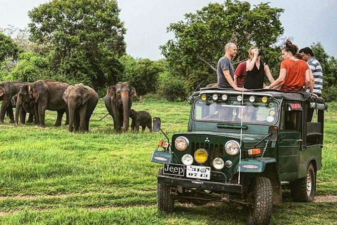 Wildlife and Nature Tour (18 Days , 17 Nights) - Transportation and Services