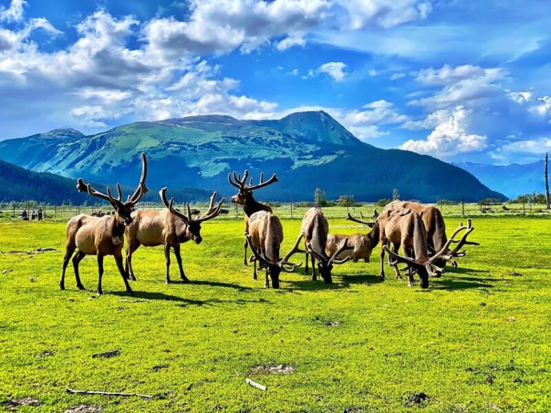 Wildlife Center With Lunch & Local Beer Sampling - Itinerary Details