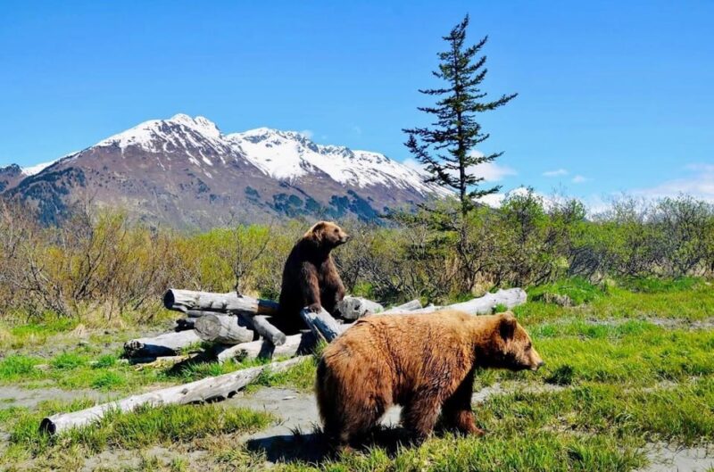 Wildlife Center With Lunch & Local Beer Sampling - Culinary Experience