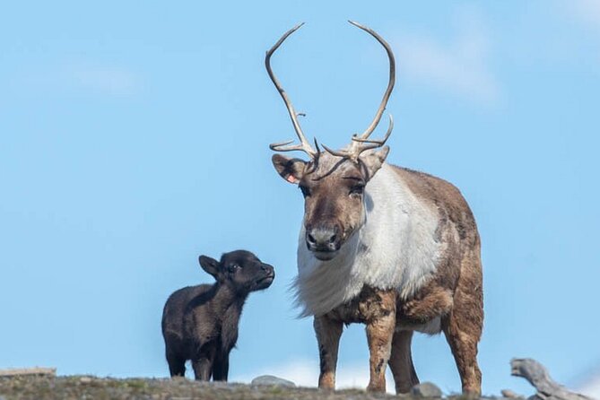 Wildlife Center With Lunch & Local Beer Sampling - Winter&Summer - Recommendations