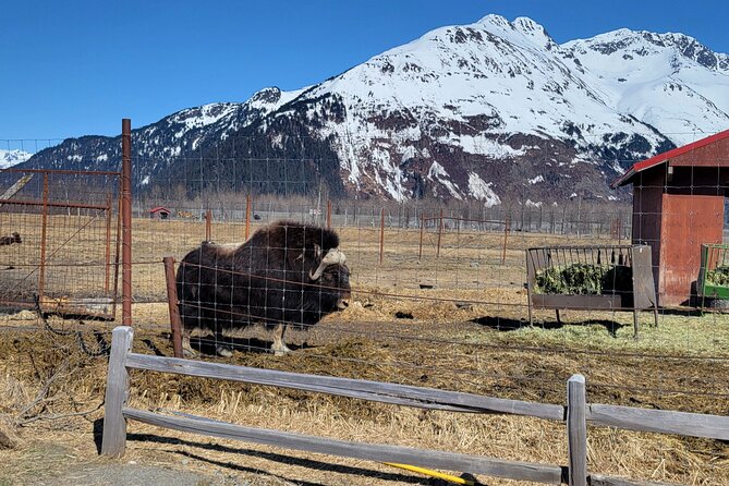 Wildlife Center With Lunch & Local Beer Sampling - Winter&Summer - Wildlife Viewing
