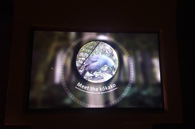 Wildlife Centre Experience - The Sum Up