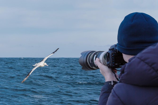 Wildlife Cruise With Transport - Meeting and Pickup Information