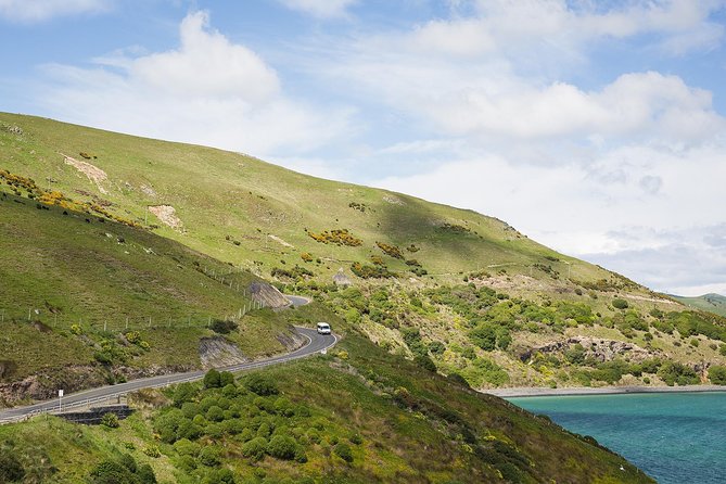 Wildlife Cruise With Transport - Wildlife Sightings