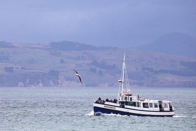 Wildlife Cruise With Transport - Scenic Views