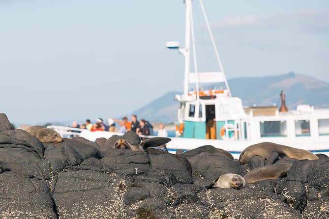 Wildlife Cruise With Transport - Cruise Experience