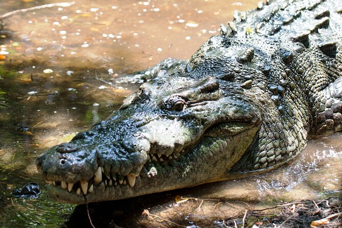 Wildlife Eco Tour on the Coast of Oaxaca. - Pickup Locations and Information
