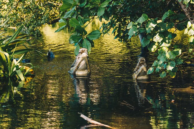 Wildlife Eco Tour on the Coast of Oaxaca. - Highlights of the Tour Experience