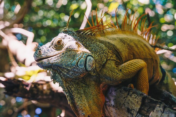 Wildlife Eco Tour on the Coast of Oaxaca. - Customer Reviews and Feedback