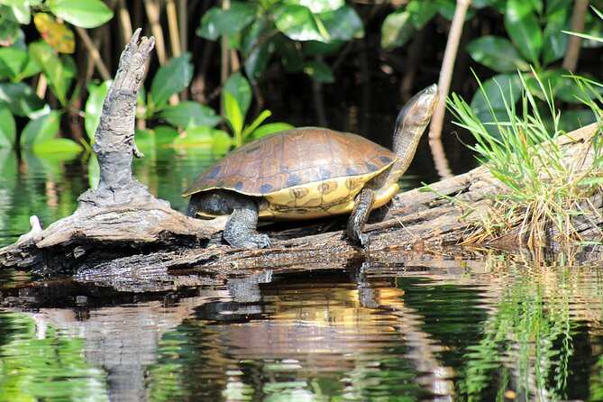 Wildlife Eco Tour on the Coast of Oaxaca. - Frequently Asked Questions