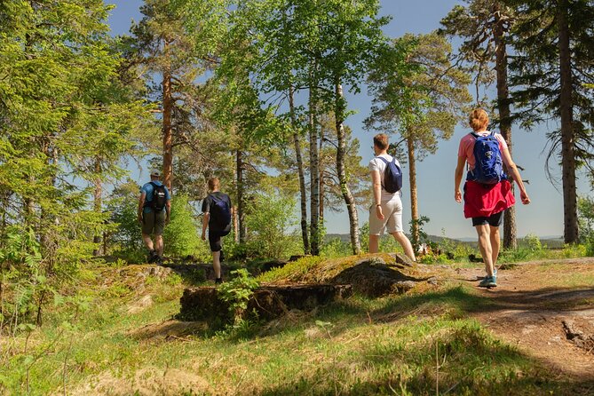 Wildlife Forest Hike - Meeting and End Points