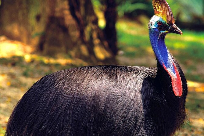 Wildlife Habitat Port Douglas - Key Points