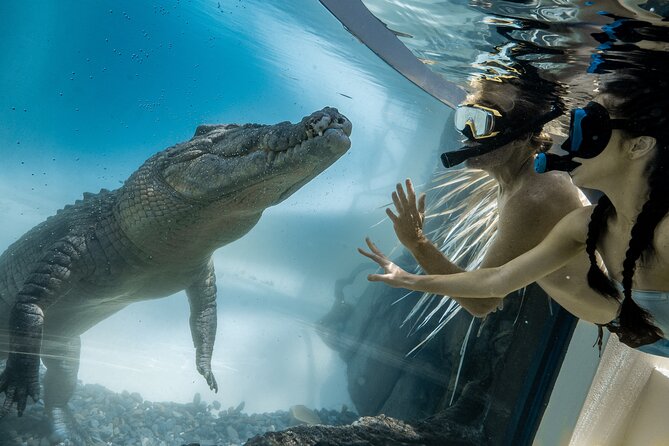 Wildlife Habitat Port Douglas - Visitor Interaction Opportunities