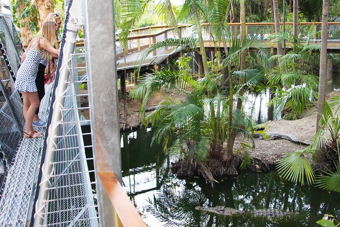 Wildlife Habitat Port Douglas - Visitor Feedback and Recommendations