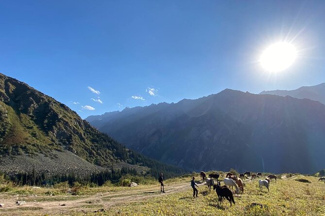 Wildlife Hiking Adventure in Ala Archa National Park - Meeting and Pickup Details