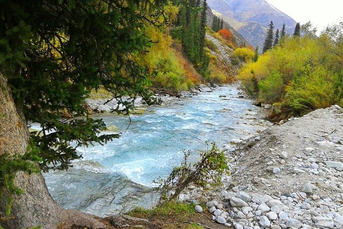 Wildlife Hiking Adventure in Ala Archa National Park - Guides Knowledge of Wildlife