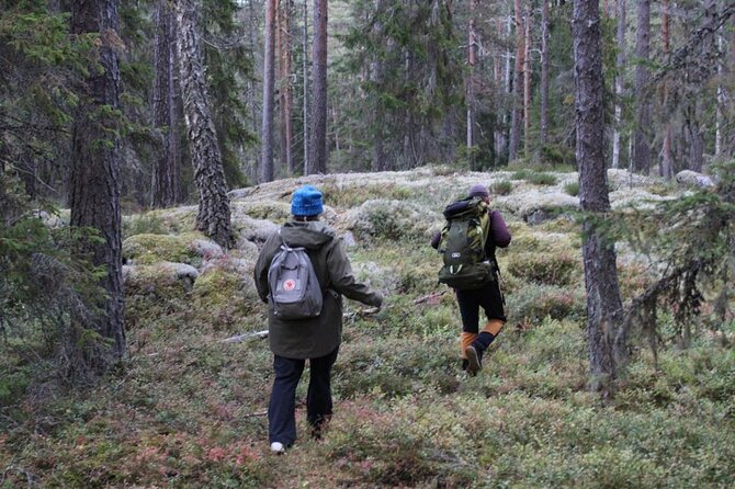 Wildlife Hiking in Stockholm With Animal Spotting - 2 Days - Camping Under the Stars