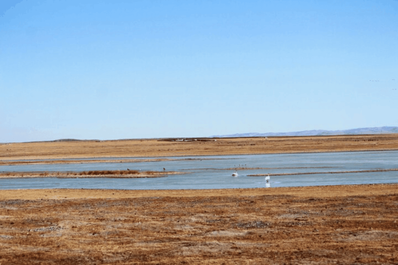 Wildlife in Gun Galuut Nature Reserve - Key Points