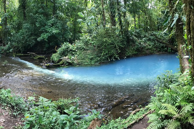 Wildlife Nature Hike, Blue Waterfall, Lunch & Sloth Trail - Tenorio Volcano Park - Meeting and Pickup Information