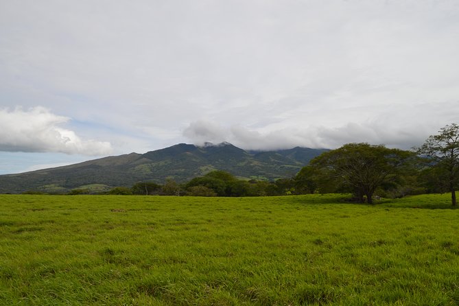 Wildlife Nature Hike, Blue Waterfall, Lunch & Sloth Trail - Tenorio Volcano Park - Tour Suitability and Safety