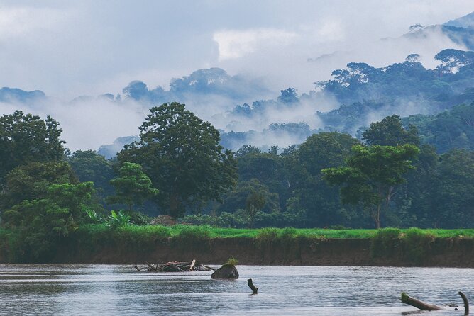 Wildlife Odyssey: Hike in Carara Park & Tarcoles River Adventure - Inclusions and Logistics