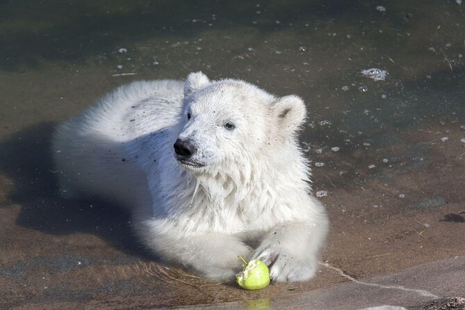 Wildlife Park Ranua - Additional Highlights