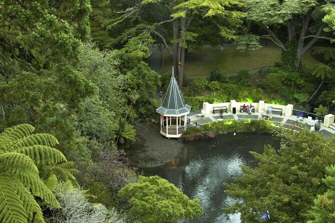 Wildlife Private Tour from Wellington Cruise Port - An In-Depth Look at the Wellington Wildlife Private Tour