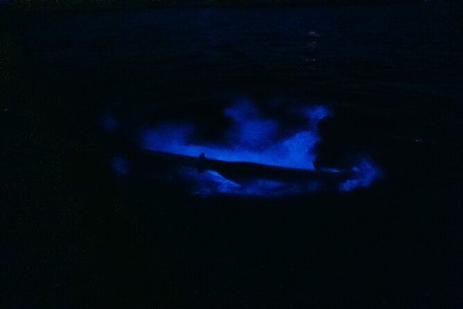 Wildlife Refuge Bioluminescent Kayak or Paddleboard Tour! - Accessibility and Participation