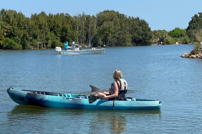 Wildlife Refuge Dolphin, Manatee & Mangrove Kayak or Paddleboarding Tour! - Possible Wildlife Sightings