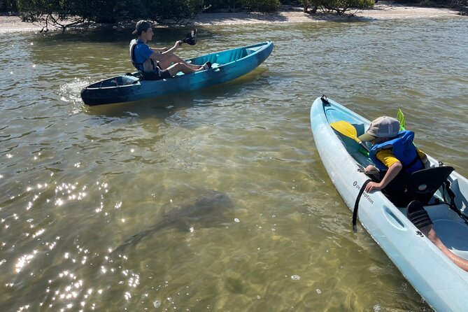Wildlife Refuge Dolphin, Manatee & Mangrove Kayak or Paddleboarding Tour! - Included Equipment and Amenities